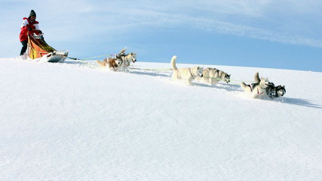 Universum: Weiß wie Schnee