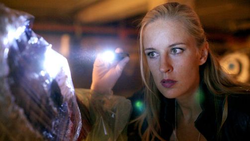 Soko Donau Staffel 6 Soko Donau Staffel 6 Folge 73: Soko Donau: Die Täuschung (9/13)