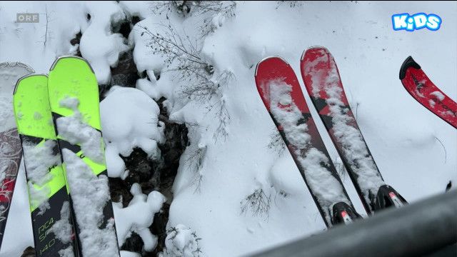 Ganz Ohr: Leistungssport