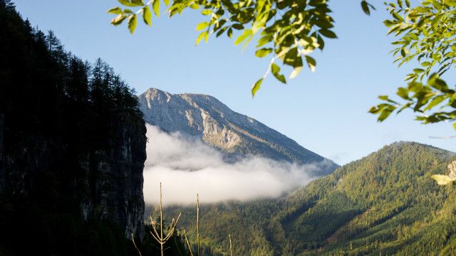 Aufgetischt vor 10: Ötscher