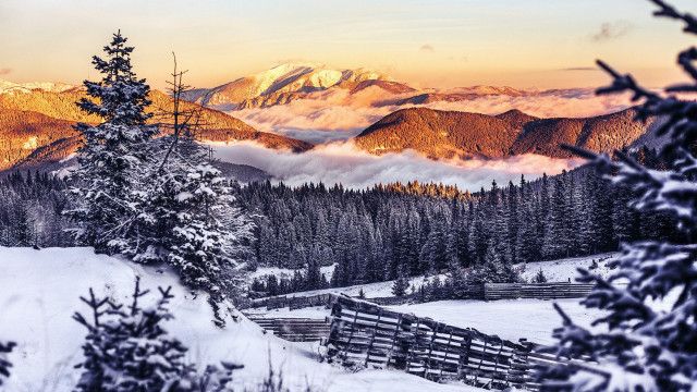 Unser Österreich: Sonne, Schnee und Pistenzauber - Wintertage in Niederösterreich