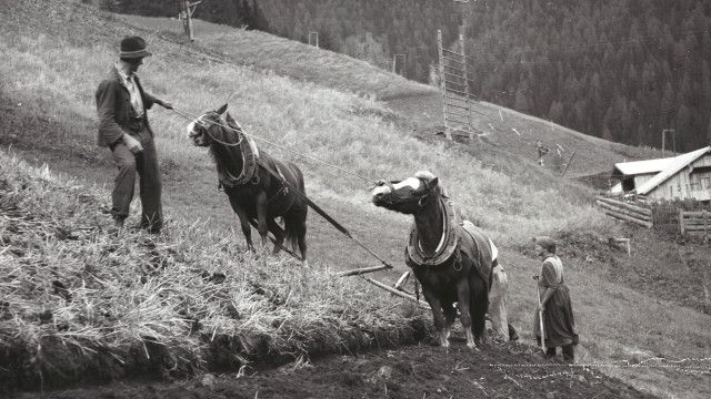 Heimat Österreich: Zuhaus' im Defereggental - Leben von und mit der Natur