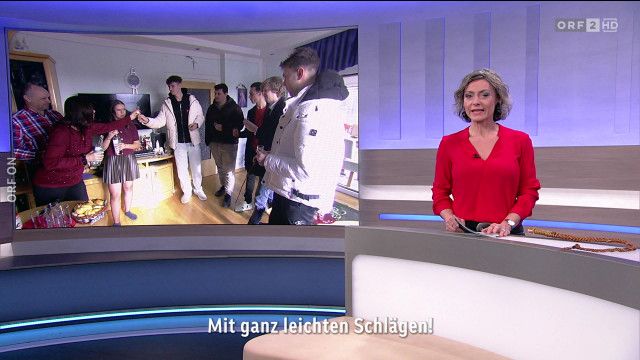 WIR - Das Volksgruppenmagazin
