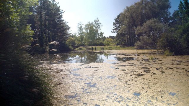 Erbe Österreich: Wiener Vororte (3/3) - Von der Lobau bis Stammerdorf
