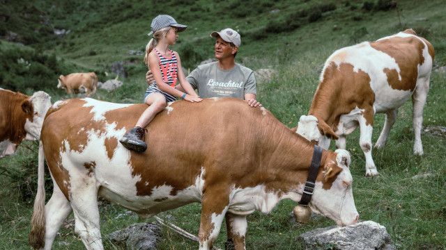 Land der Berge: Bergbauernleben: Im Lesachtal