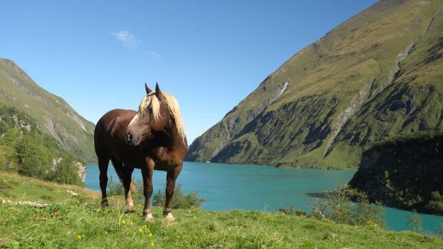 Land der Berge: Berge der Zukunft: Vom Mooserboden auf das Kitzsteinhorn