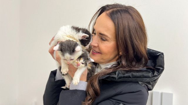 Tierische Augenblicke