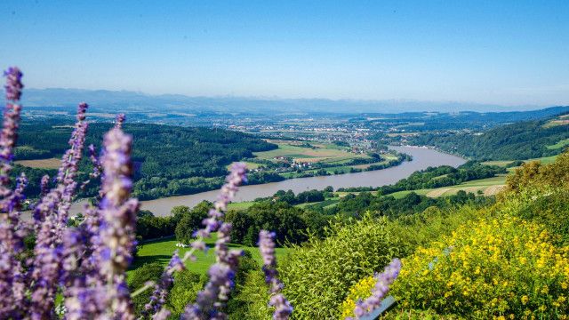 Aufgetischt am Sonntag: Nibelungengau