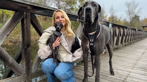 Tierische Augenblicke Tierische Augenblicke Folge 23: Tierische Augenblicke