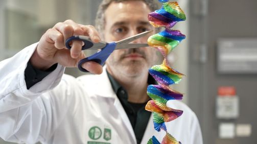 Treffpunkt Medizin Treffpunkt Medizin Folge 66: treffpunkt medizin: Tumorbremsen - Schutz statt Risiko bei Krebs