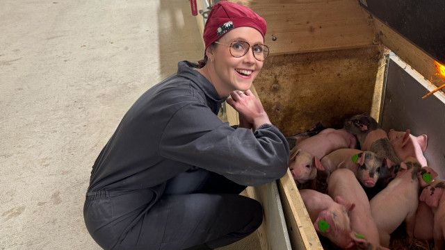 Hallo, was machst Du?: Schweinebäuerin