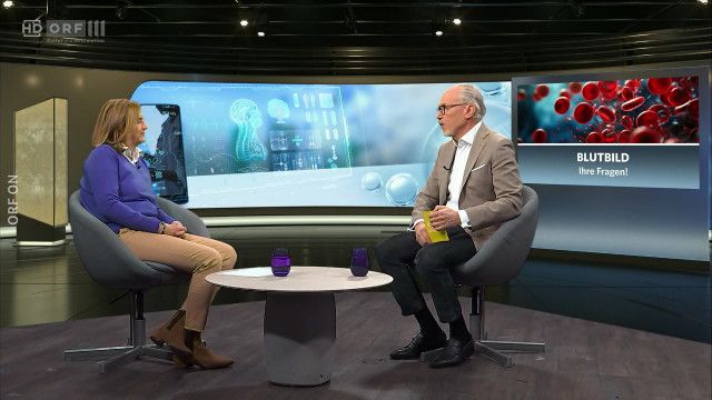 MERYN am Montag: Blutbild - Ihre Fragen