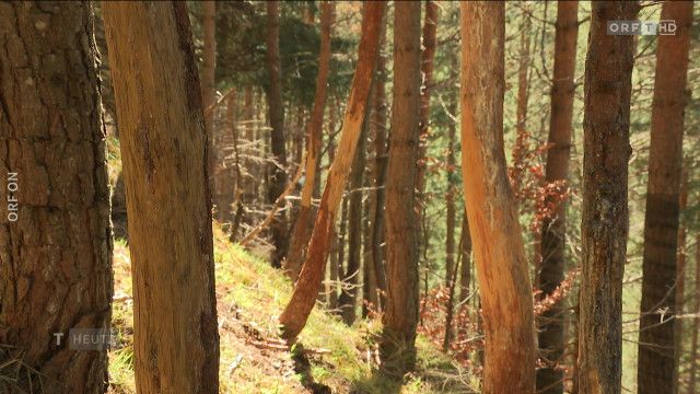 Tirol heute vom 04.04.2025 - 04.04.2025