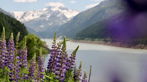 Heimat Österreich Heimat Österreich Folge 151: Heimat Österreich: Bergsommer im Kaunertal