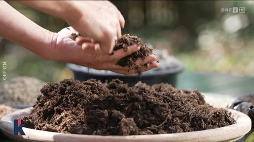 Konkret Konkret Folge 395: konkret vom 17.04.2025 - 17.04.2025