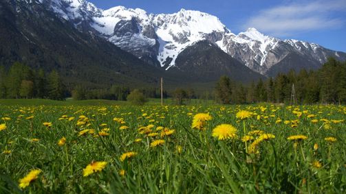 Unser Österreich Unser Österreich Folge 404: Unser Österreich: Gärten der Alpen