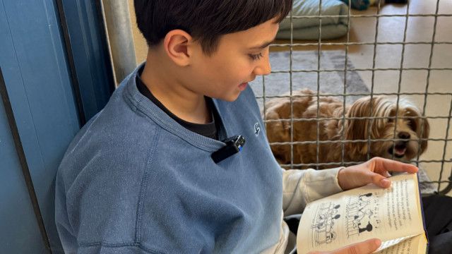 Mini Spezial: Shelter Buddy Projekt
