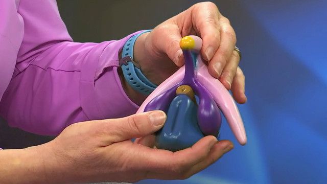 MERYN am Montag: Sexualität und Gesundheit - Ihre Fragen