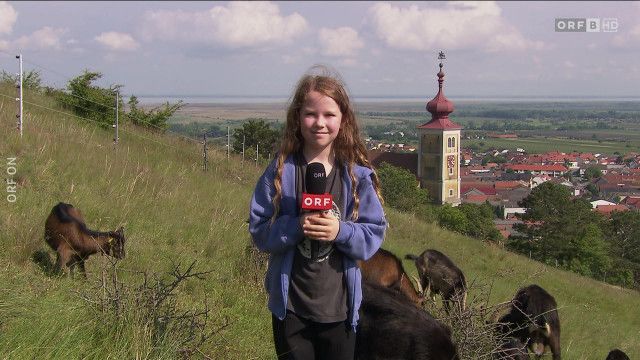 Burgenland heute vom 21.05.2025 - 21.05.2025