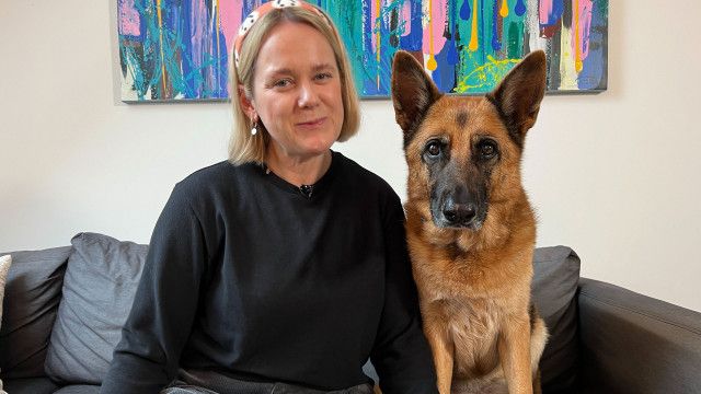Tierische Augenblicke