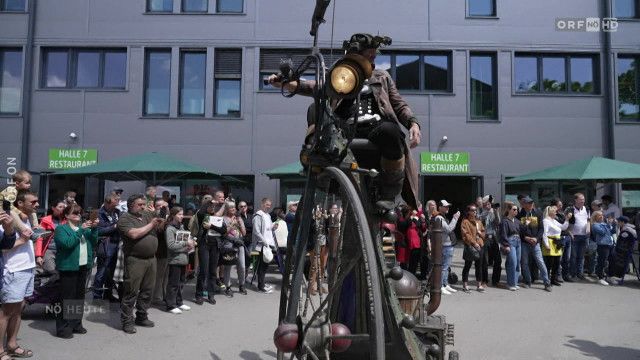 Niederösterreich heute vom 31.05.2025 - 31.05.2025