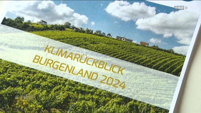 Burgenland heute vom 31.05.2025 - 31.05.2025