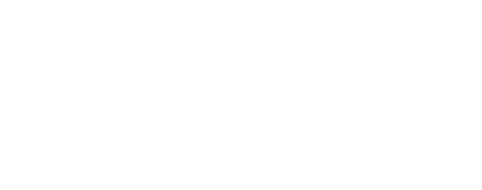 Berater - Leben auf der Überholspur