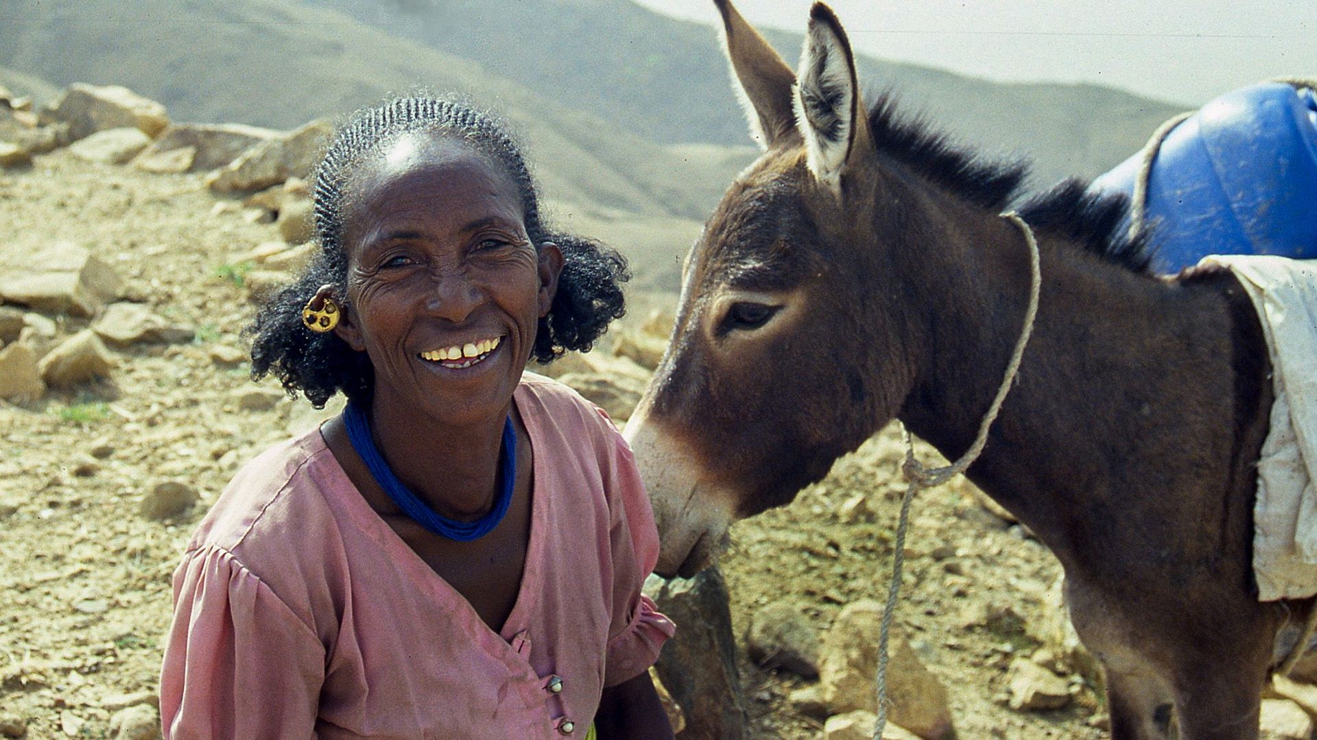 Eritrea - Ein Esel für die Zukunft