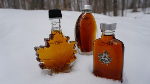 Planet Weltweit Planet Weltweit - Staffel 24 Folge 2: Ahornsirup - Kanadas süßer Schatz