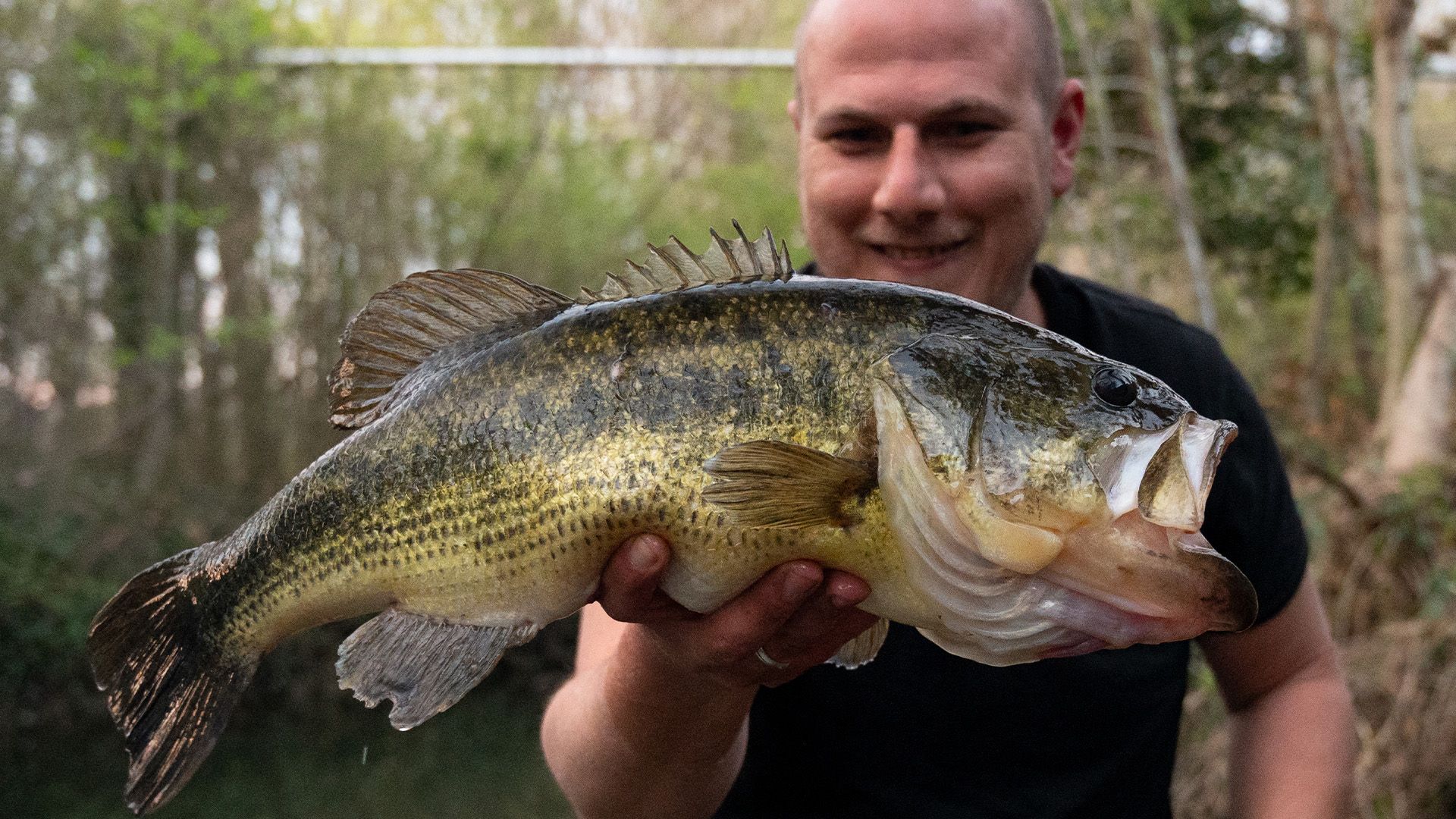 Big Bass Dreams Italy