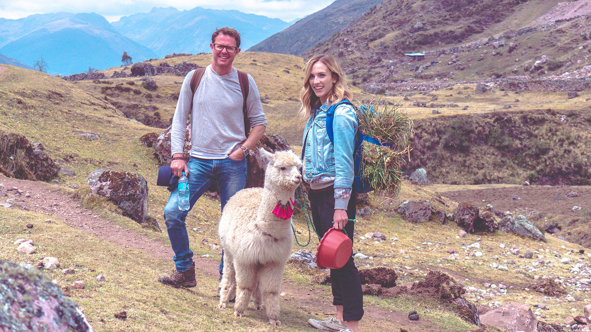 Alpaca