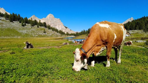 Bike Mike: Südtirol Bike Mike: Südtirol - Staffel 1 Folge 11: Panoramafahrt um den Kronplatz