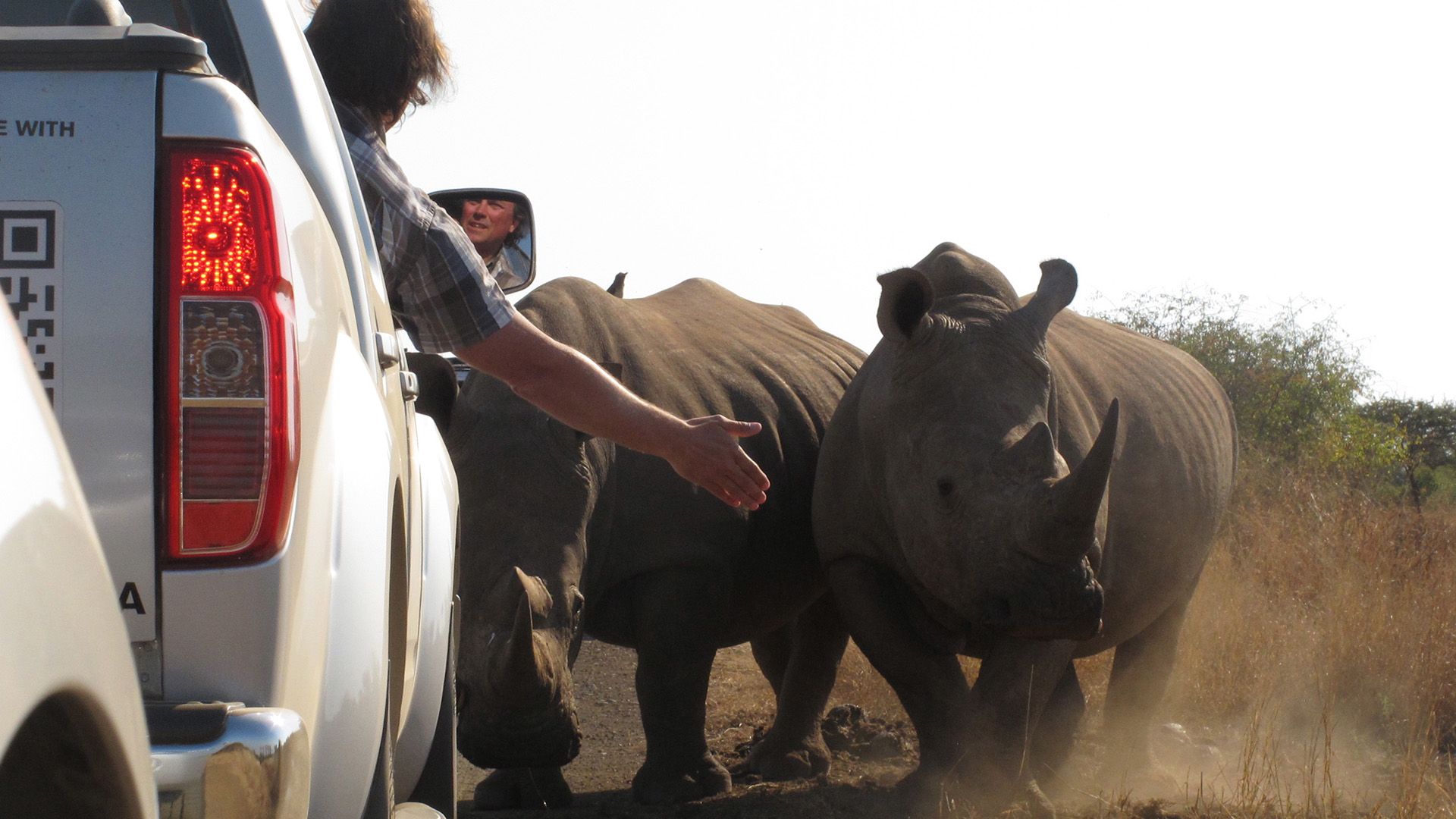 Der Krüger-Nationalpark und Johannesburg