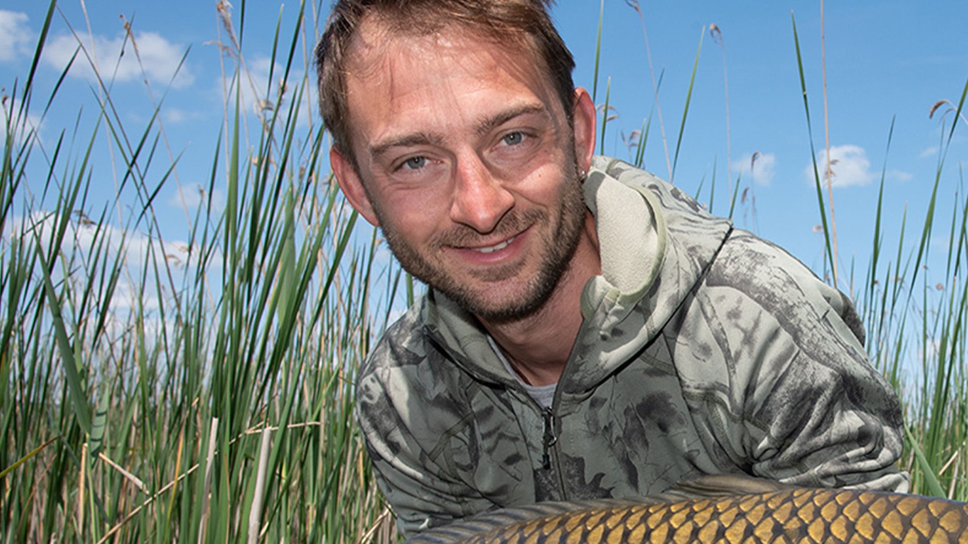 Carpfishing Strategy - Dipps