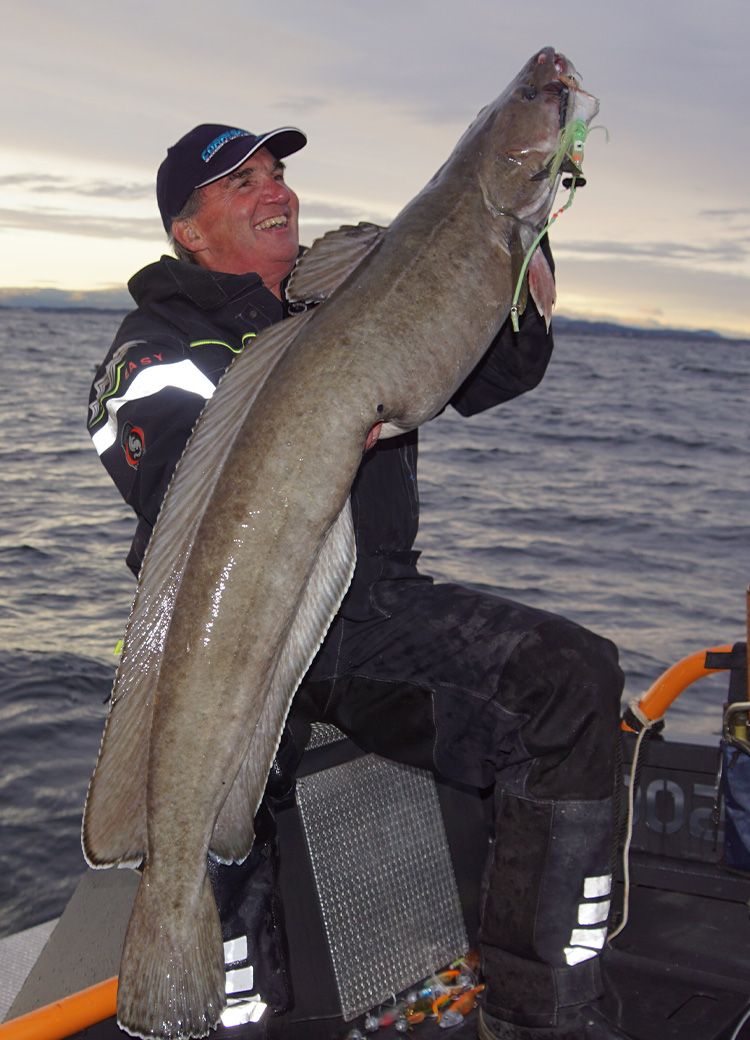 Meeresangeln in Norwegen - Dem Leng auf der Spur