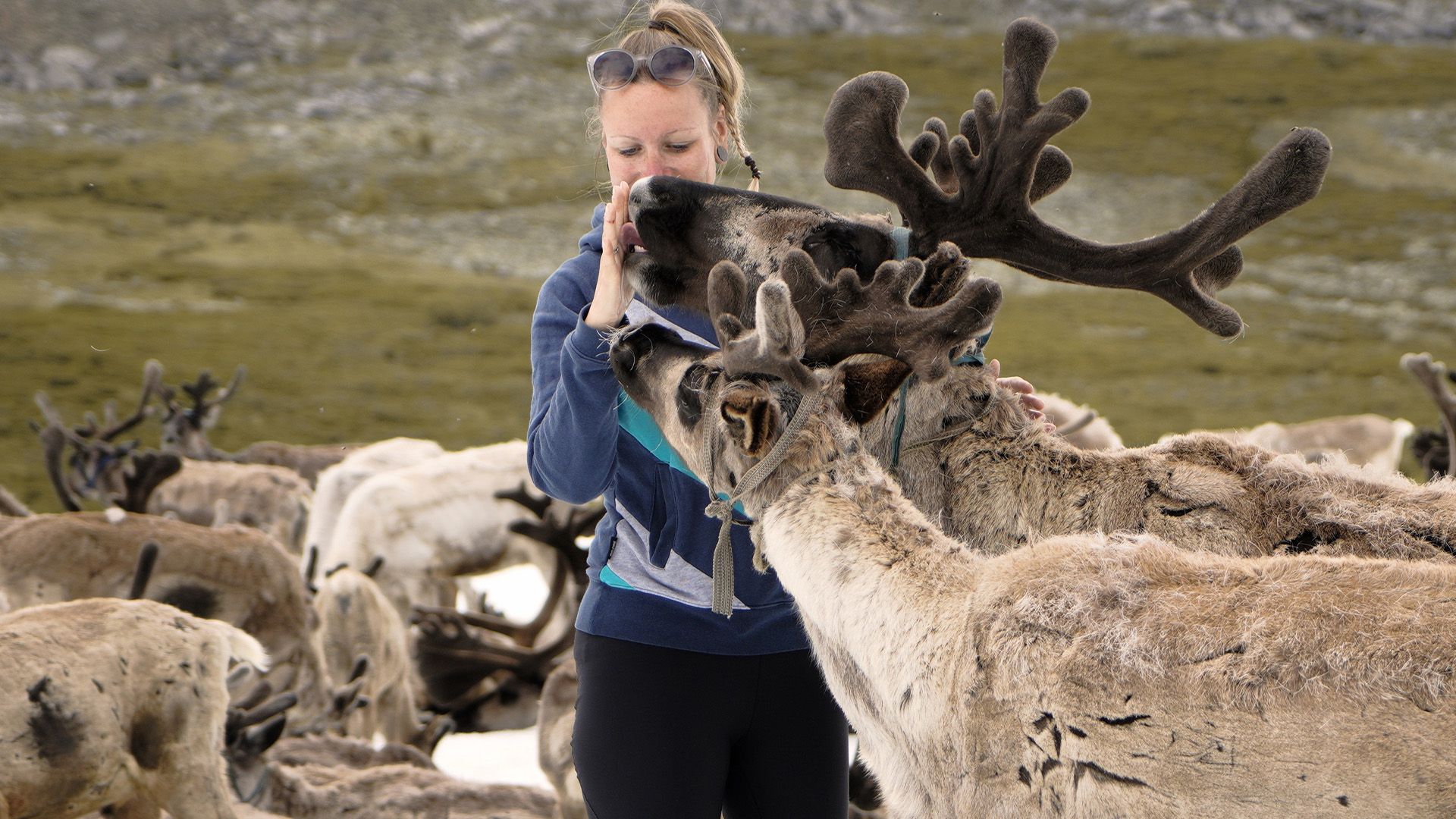 Durch die Mongolei zu den Rentier Nomaden