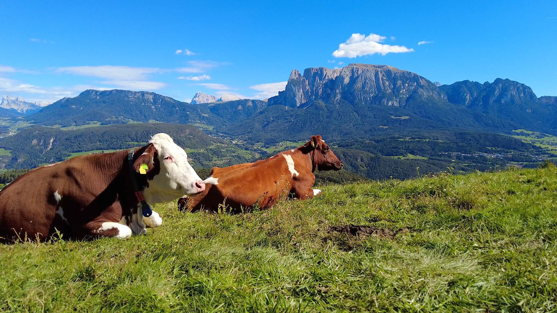 Panoramarunde Bozen