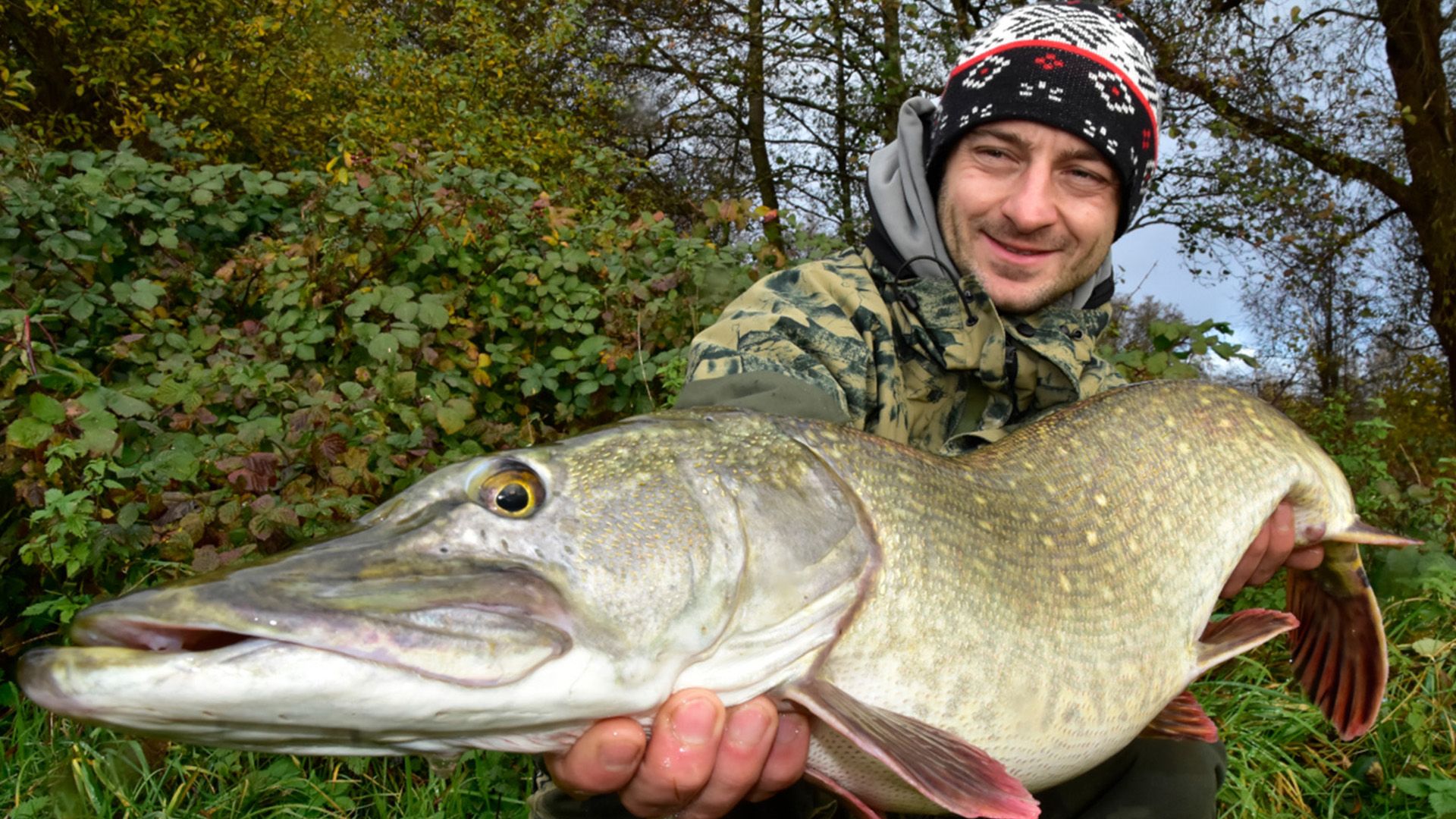 Hechte und Zander erfolgreich mit dem Köderfisch fangen