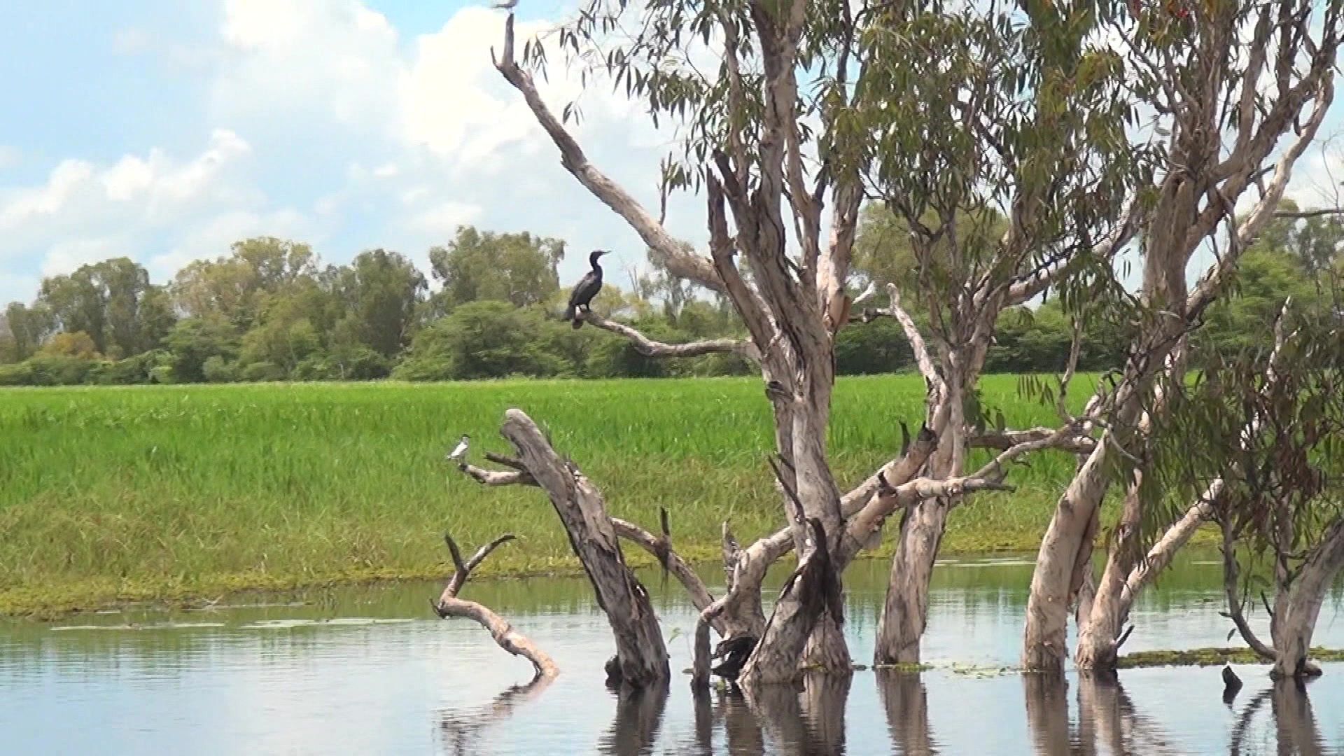 Australien - Nature