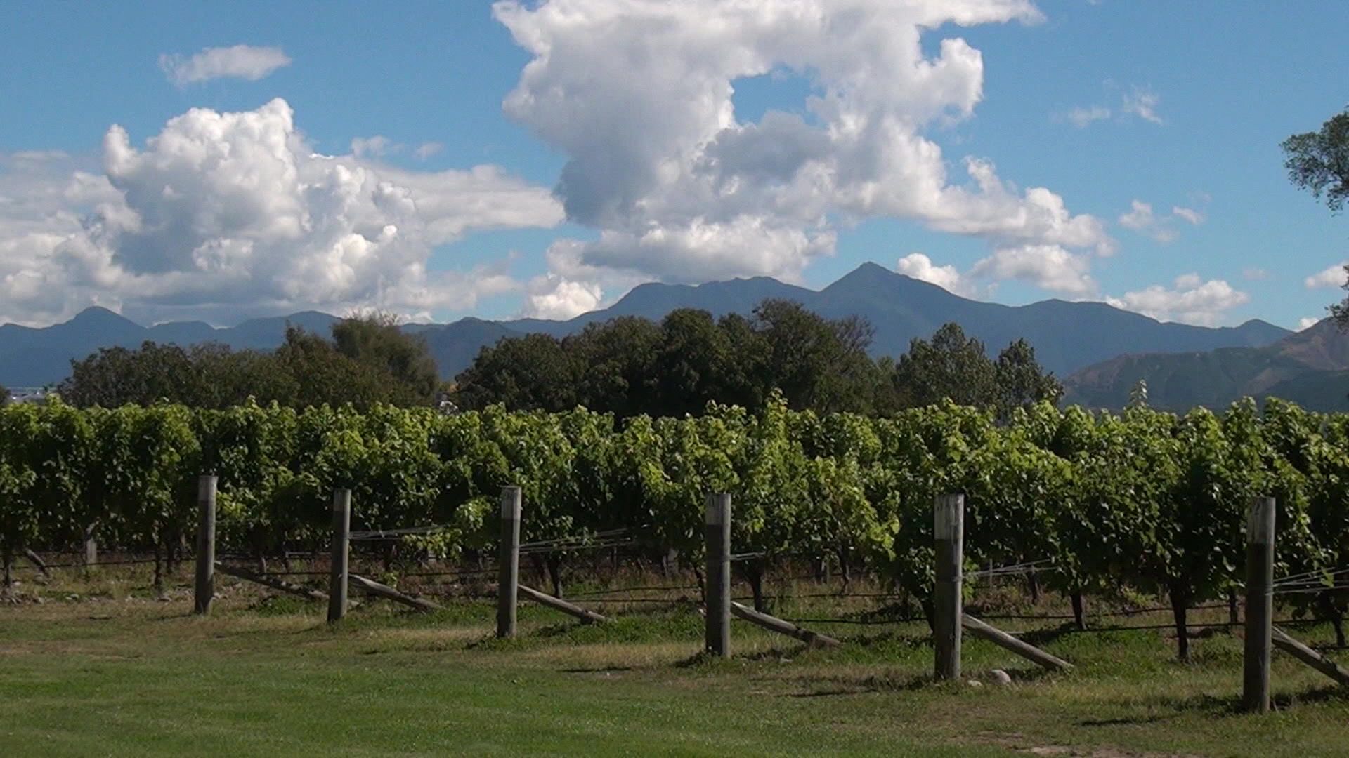 Neuseeland - Wine and Dine