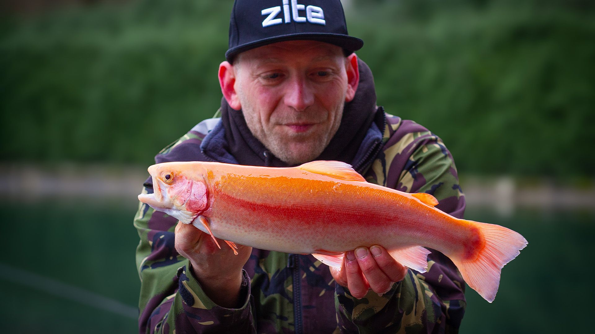 Angebissen von Null auf Fisch