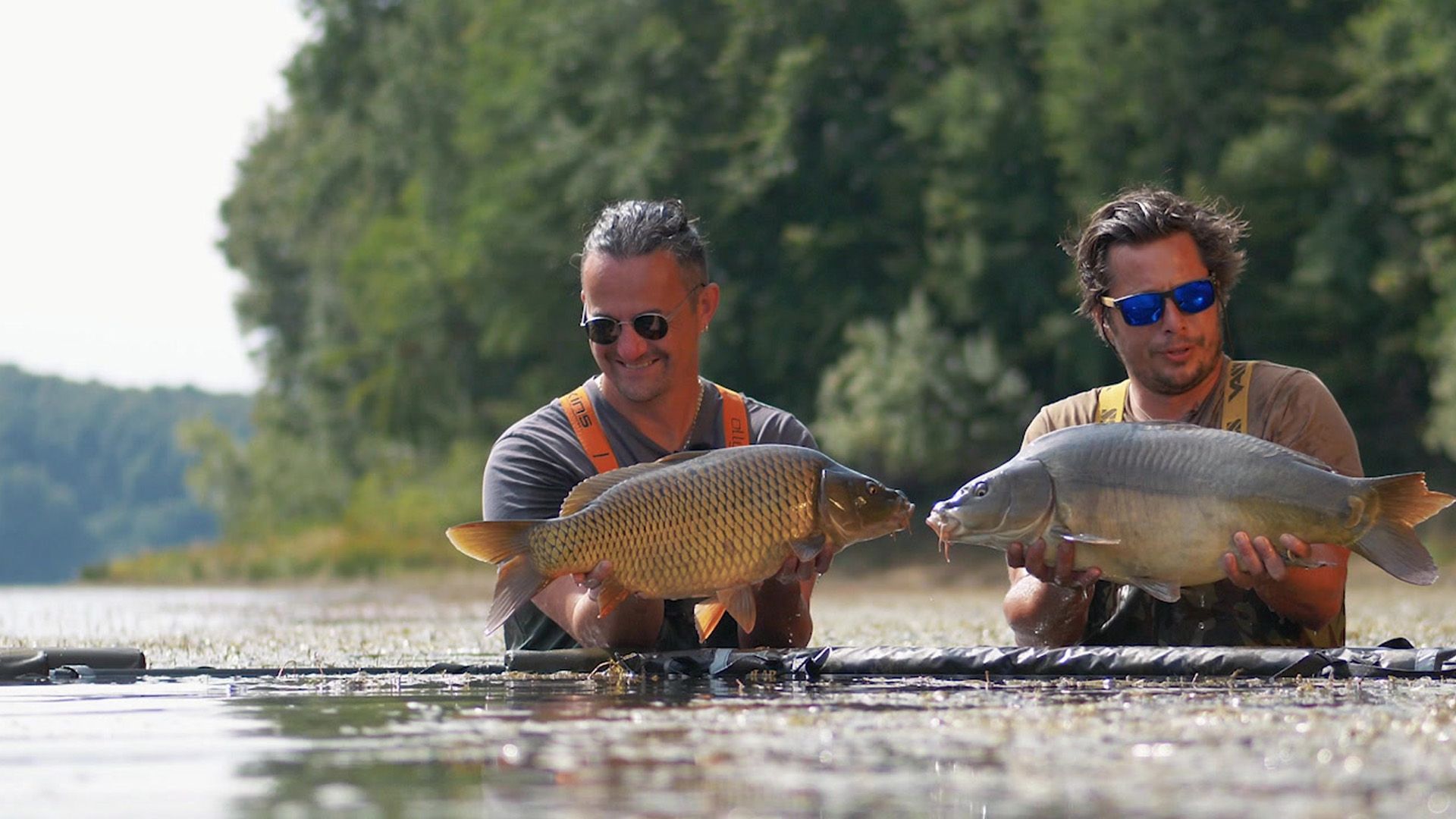 SNAG DREAMS Borovik We Are fish