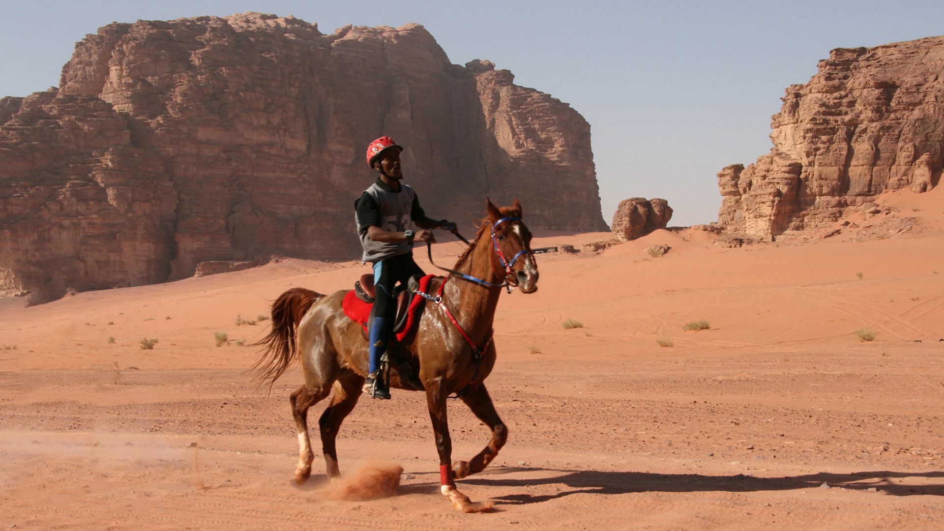 Jordanien, Dynastie der Pferde