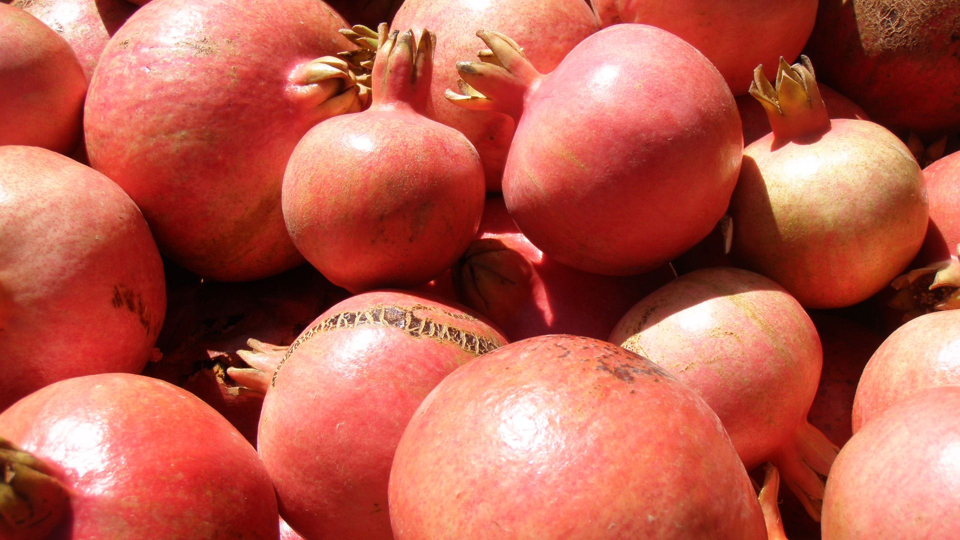 Armenien, die Früchte aus dem Paradies