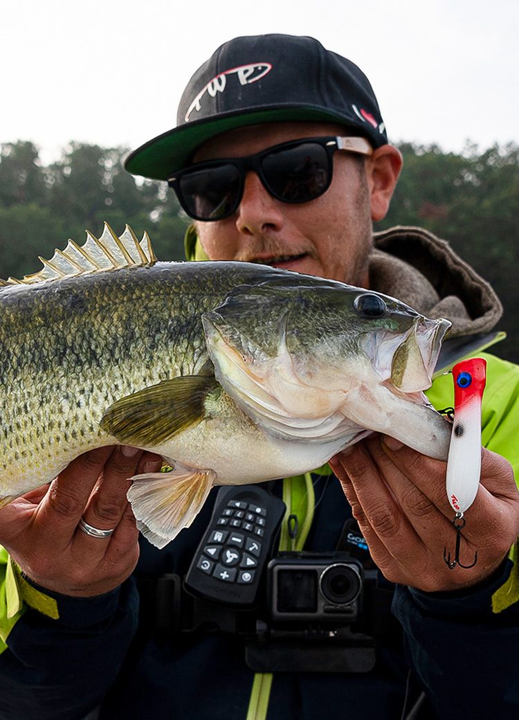 Popper, Propbait und Co. - Welcher Köder fängt am meisten Schwarzbarsche?
