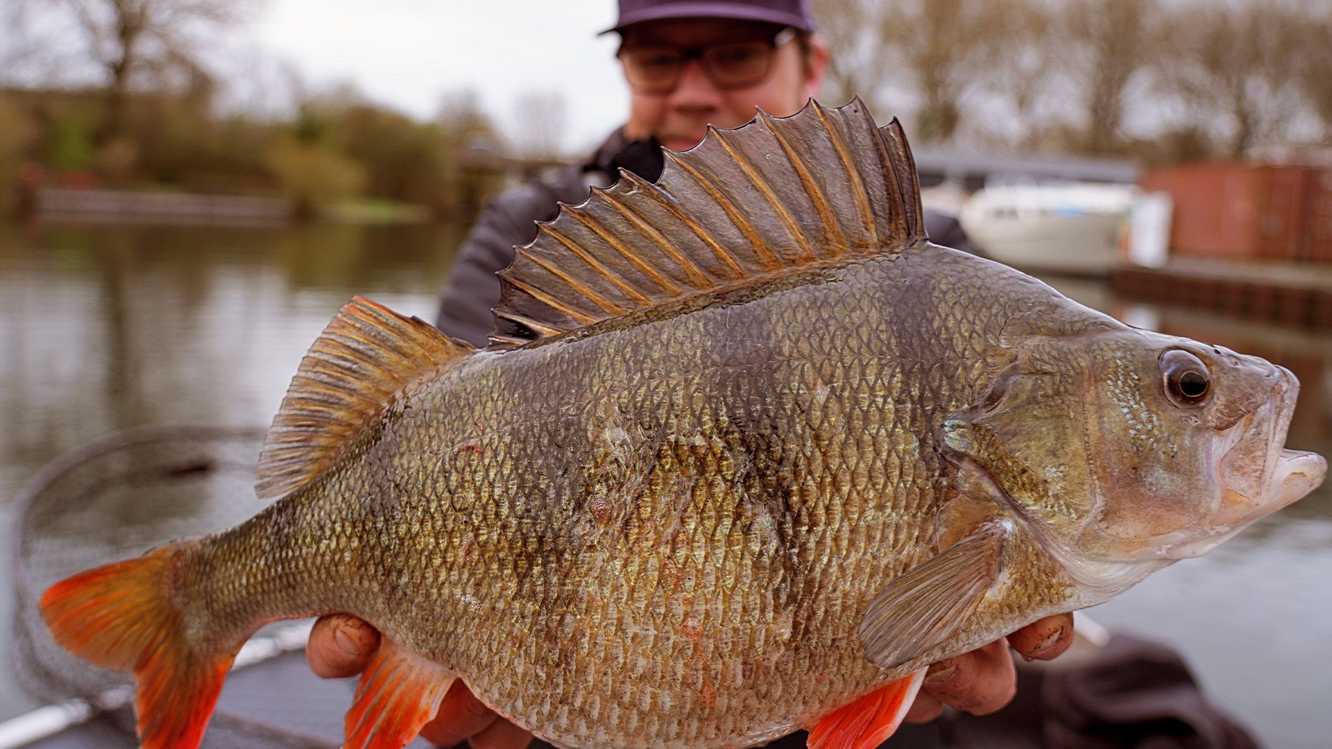 Olli's Sternstunde auf Barsch