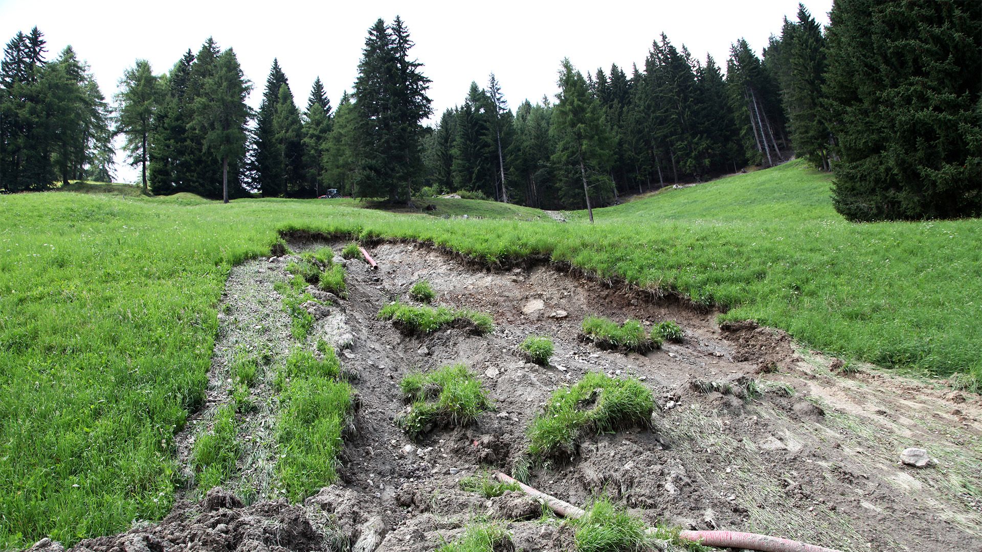 Klimawandel in Südtirol - Risiken, Chancen und Zukunft