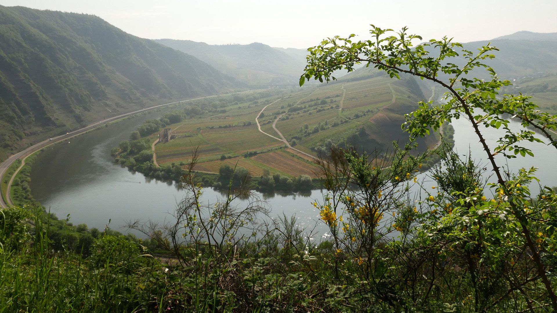 Zauberhafte Mosel