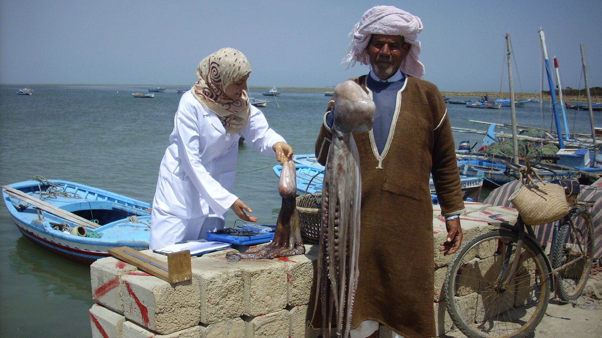 Tunesien, die Suche nach dem Tintenfisch