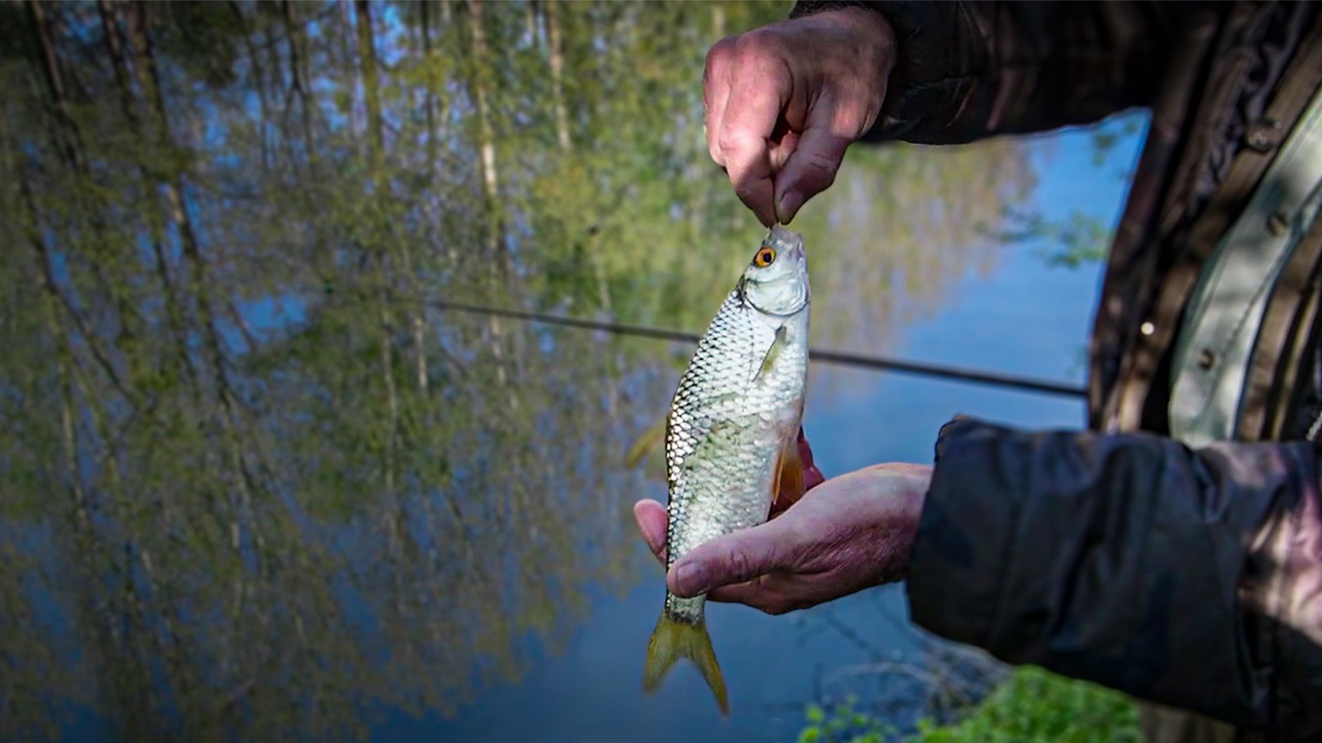 Unsere Fischbestände verschwinden lautlos!